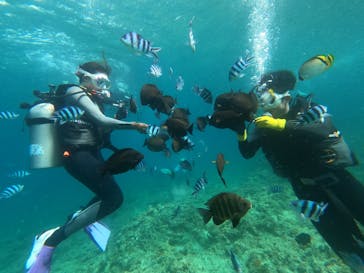 DIVING-SHOP SUNSに投稿された画像（2022/7/10）