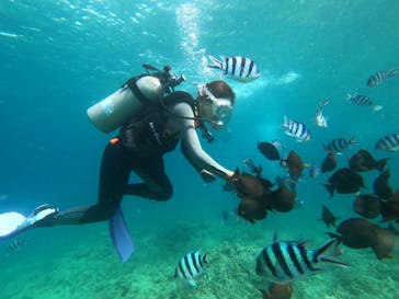 DIVING-SHOP SUNSに投稿された画像（2022/7/10）