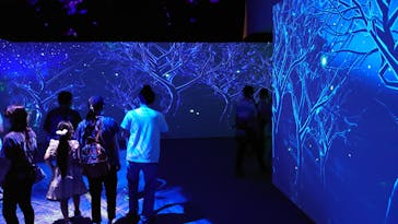 体感するファーブル昆虫展 NAGOYAに投稿された画像（2022/7/10）