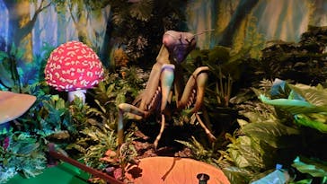 体感するファーブル昆虫展 NAGOYAに投稿された画像（2022/7/10）