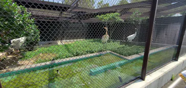 天王寺動物園に投稿された画像（2022/7/10）