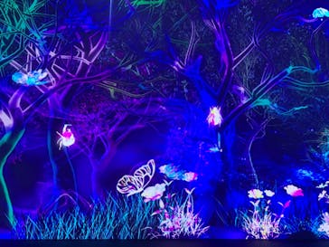 体感するファーブル昆虫展 NAGOYAに投稿された画像（2022/7/10）