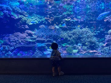 大分マリーンパレス水族館 「うみたまご」に投稿された画像（2022/7/10）