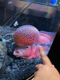 UWSアクアリウム　UNDER WATER SPACEに投稿された画像（2022/7/10）