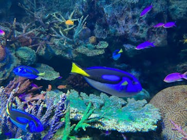 サンシャイン水族館に投稿された画像（2022/7/10）