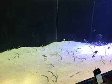 株式会社Gに投稿された画像（2022/7/10）