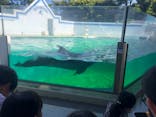 しながわ水族館に投稿された画像（2022/7/10）