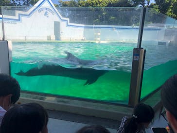 しながわ水族館に投稿された画像（2022/7/10）