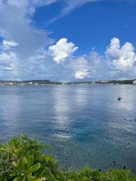 武藤潜水に投稿された画像（2022/7/10）