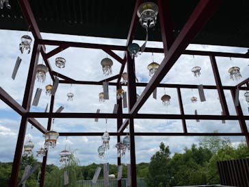 京都水族館に投稿された画像（2022/7/10）