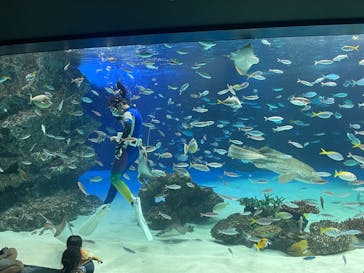 サンシャイン水族館に投稿された画像（2022/7/10）