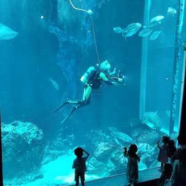 マリンワールド海の中道に投稿された画像（2022/7/10）