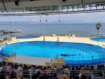 マリンワールド海の中道に投稿された画像（2022/7/10）