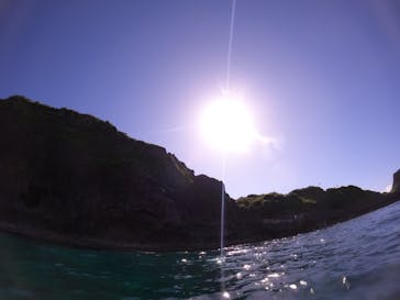 沖縄マリンサービス碧に投稿された画像（2022/7/10）