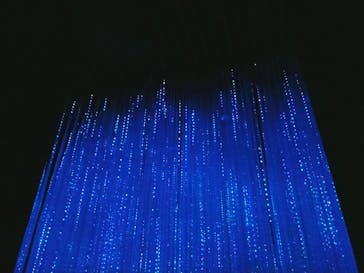 森ビル デジタルアート ミュージアム：エプソン チームラボボーダレスに投稿された画像（2022/7/10）