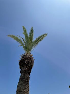 ウォーターパークデカパトスに投稿された画像（2022/7/10）