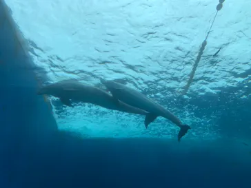 横浜・八景島シーパラダイスに投稿された画像（2022/7/10）