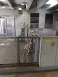 よこはま動物園ズーラシアに投稿された画像（2022/7/10）