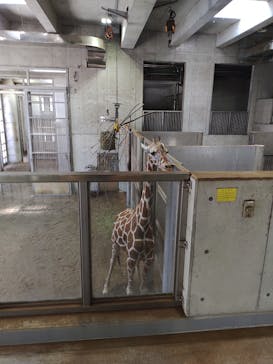 よこはま動物園ズーラシアに投稿された画像（2022/7/10）