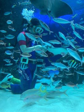 サンシャイン水族館に投稿された画像（2022/7/10）