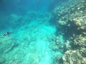 武藤潜水に投稿された画像（2022/7/10）