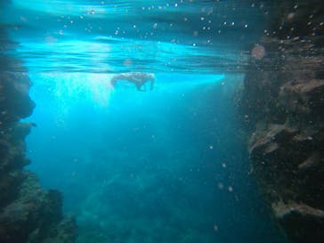 武藤潜水に投稿された画像（2022/7/10）