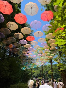 ムーミンバレーパークに投稿された画像（2022/7/10）