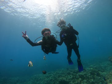 武藤潜水に投稿された画像（2022/7/10）