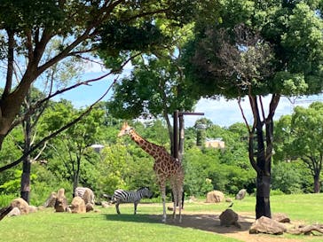 よこはま動物園ズーラシアに投稿された画像（2022/7/10）