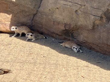 よこはま動物園ズーラシアに投稿された画像（2022/7/10）