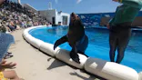 仙台うみの杜水族館に投稿された画像（2022/7/10）