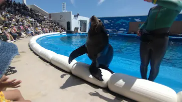 仙台うみの杜水族館に投稿された画像（2022/7/10）