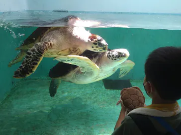 仙台うみの杜水族館に投稿された画像（2022/7/10）