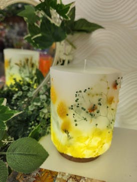 ずこうしつ〜sugamo〜に投稿された画像（2022/7/10）