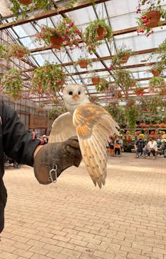 富士花鳥園に投稿された画像（2022/7/10）