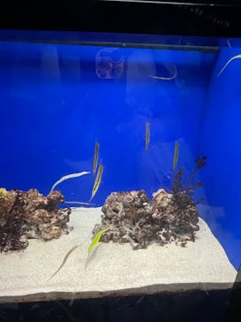 サンシャイン水族館に投稿された画像（2022/7/10）