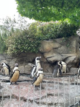 サンシャイン水族館に投稿された画像（2022/7/10）