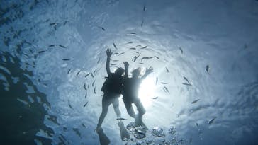 青の洞窟専門店　沖縄ダイビングショップ和に投稿された画像（2022/7/10）