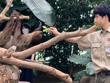 神戸どうぶつ王国に投稿された画像（2022/7/10）