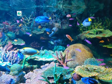 サンシャイン水族館に投稿された画像（2022/7/10）