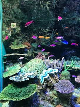 サンシャイン水族館に投稿された画像（2022/7/10）