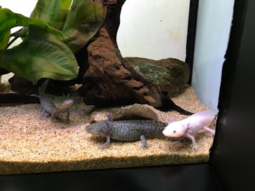 サンシャイン水族館に投稿された画像（2022/7/10）