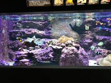 サンシャイン水族館に投稿された画像（2022/7/10）