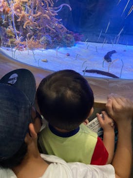 名古屋港水族館に投稿された画像（2022/7/10）