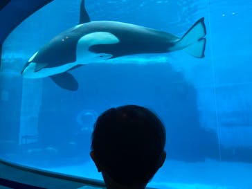 名古屋港水族館に投稿された画像（2022/7/10）