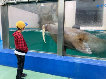 ゼロ距離水族館 伊勢シーパラダイスに投稿された画像（2022/7/10）