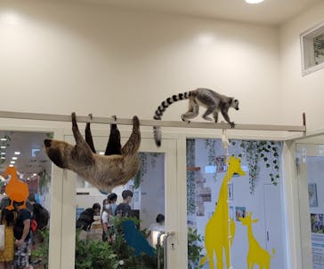 アニタッチみなとみらいに投稿された画像（2022/7/10）