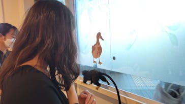 アニタッチみなとみらいに投稿された画像（2022/7/10）