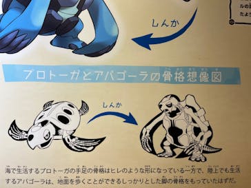 国立科学博物館　特別企画展「ポケモン化石博物館」に投稿された画像（2022/7/10）