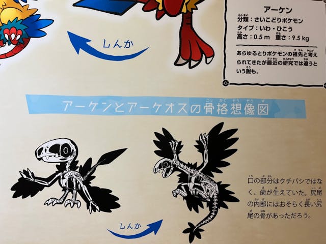 国立科学博物館 特別企画展「ポケモン化石博物館」の口コミ ｜ポケモンのカセキと実在していた｜アソビュー！